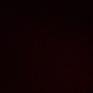 Meet your Posher, Efraina